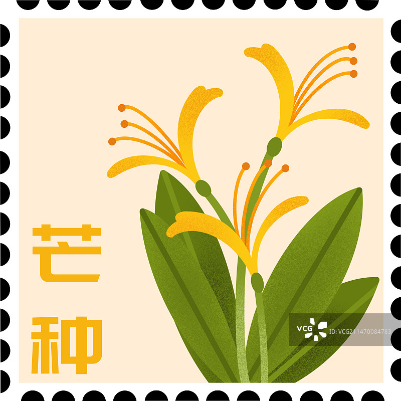 二十四节气对应花卉邮票模板图片素材