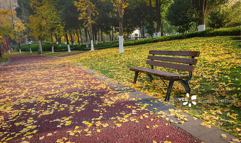 公园草坪上金黄色的落叶和椅子图片素材