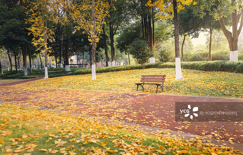 公园草坪上金黄色的落叶和椅子图片素材