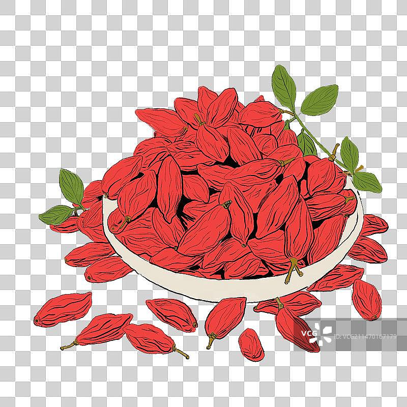 枸杞手绘插画元素图片素材