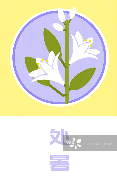 二十四节气花卉海报插画书签设计模板图片素材