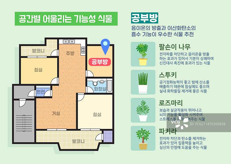 蓝图、梁、植物、室内设计、书房、巴尔松尼树、灰泥、迷迭香、发财树图片素材