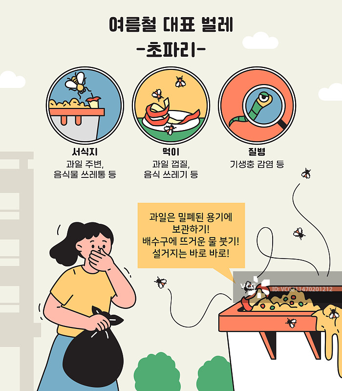 昆虫、夏季、食物残渣、果皮、果蝇图片素材