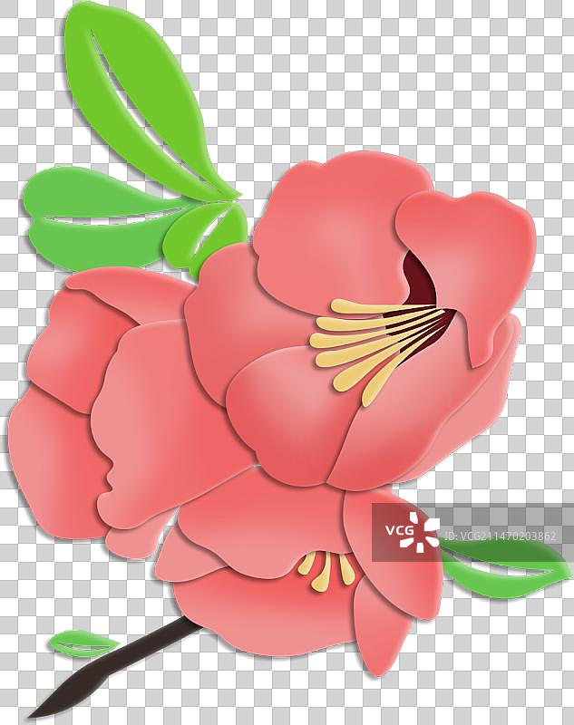 粉红色海棠花朵特写镜头扁平化剪纸风图片素材