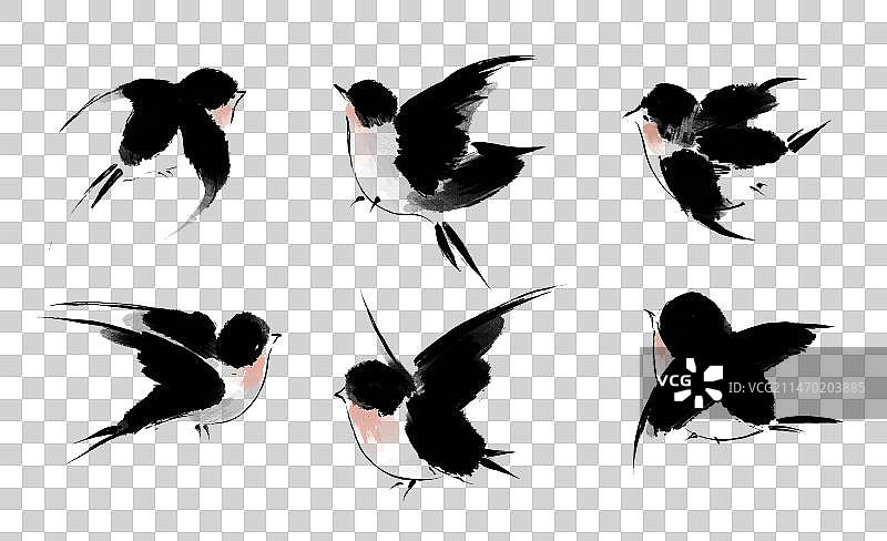 水墨风毛笔麻雀小鸟插画元素图片素材