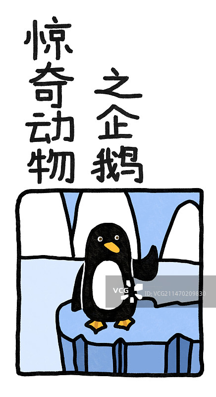 惊奇动物系列插画海报书签模板图片素材