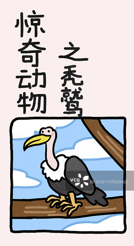 惊奇动物系列插画海报书签模板图片素材