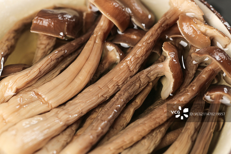 深底上的鹿茸菇图片素材