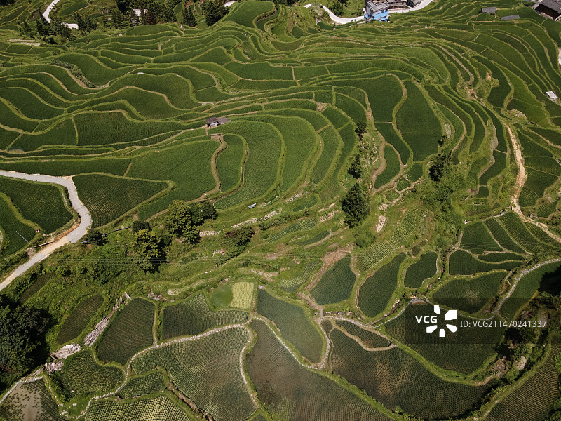梯田图片素材