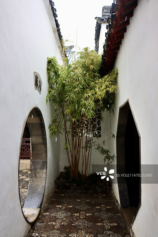 苏州·狮子林·雪图片素材