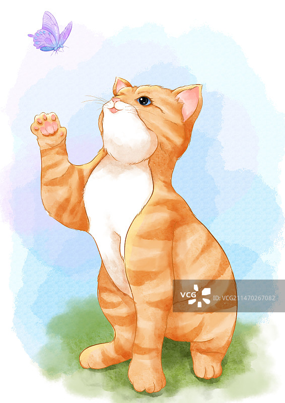 扑蝴蝶的小猫咪图片素材