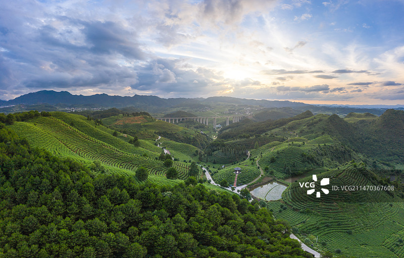 航拍新疆的山路和植物图片素材