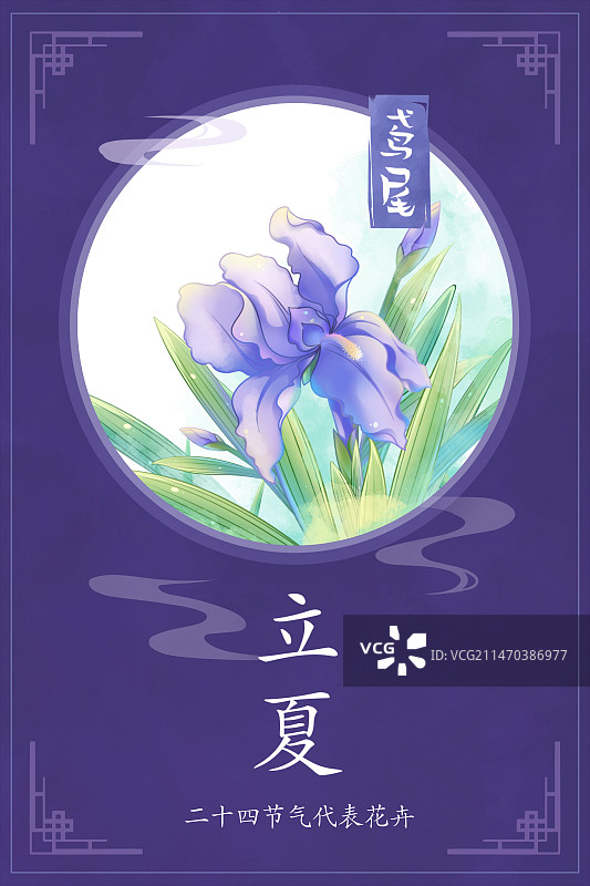 立夏——鸢尾花，国潮复古水彩二十四节气花卉系列海报图片素材