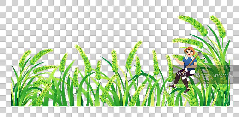 农村水稻稻田插画元素图片素材