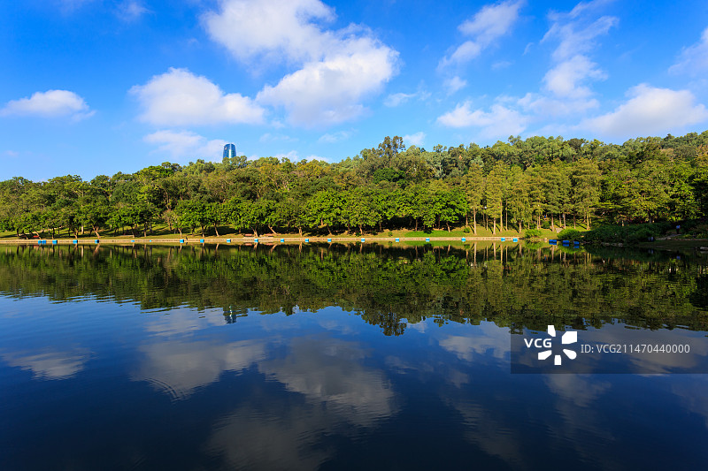 莲花山公园图片素材