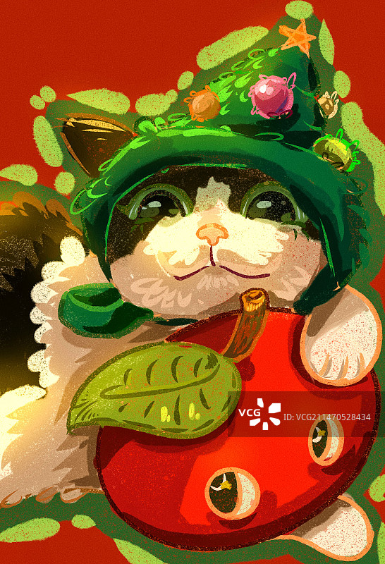 圣诞猫猫图片素材