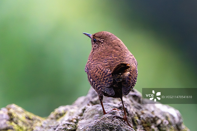 憩息时光图片素材