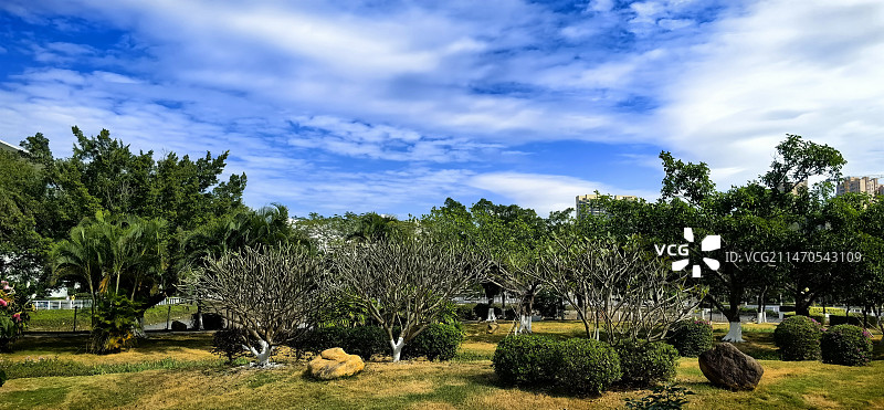 天气转暖图片素材