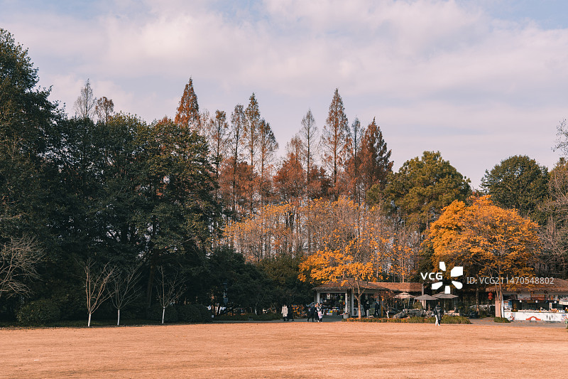 秋天的杭州西湖太子湾公园风景图片素材