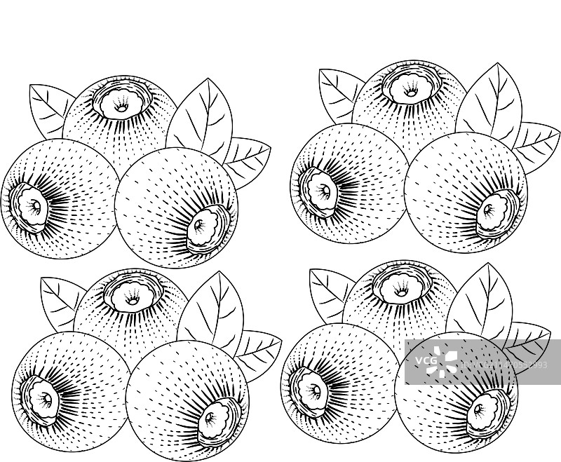 水果 蓝莓图片素材