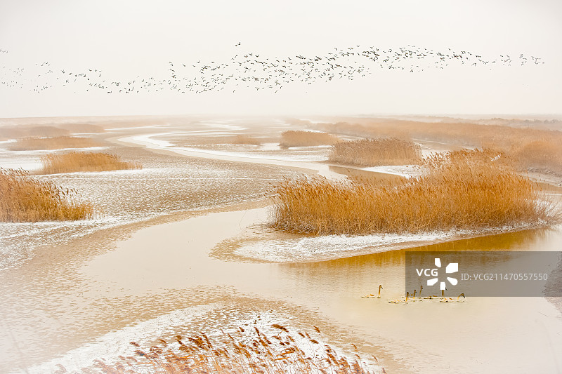 黄河入海口冬季美景图片素材