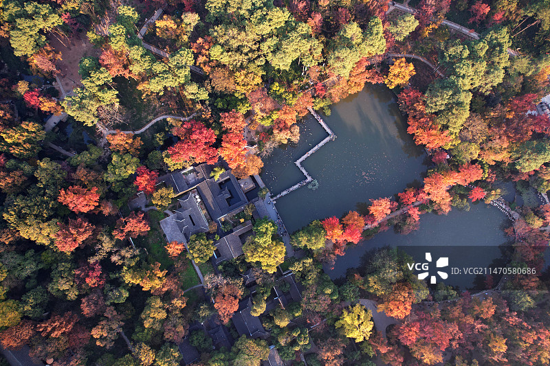 天平秋色正当时图片素材