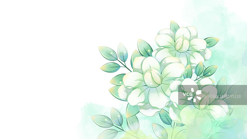 茉莉花，唯美清新水彩花卉系列插画图片素材