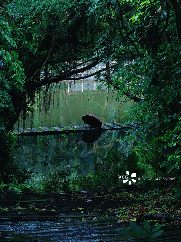 深圳燕晗山郊野公园图片素材