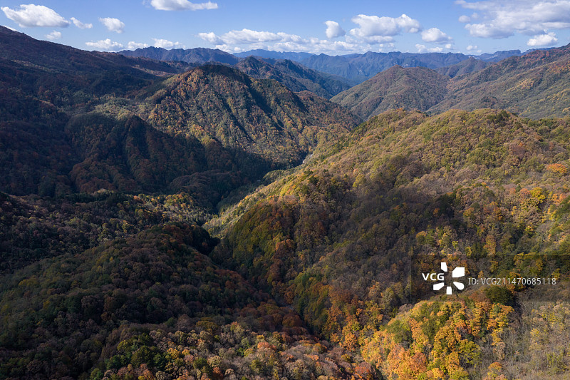 四川南江县光雾山米仓山国家森林公园彩林航拍图片素材
