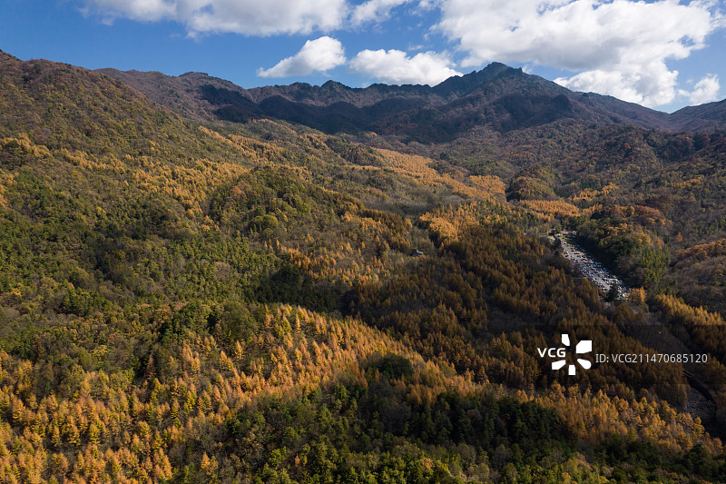 四川南江县光雾山米仓山国家森林公园彩林航拍图片素材
