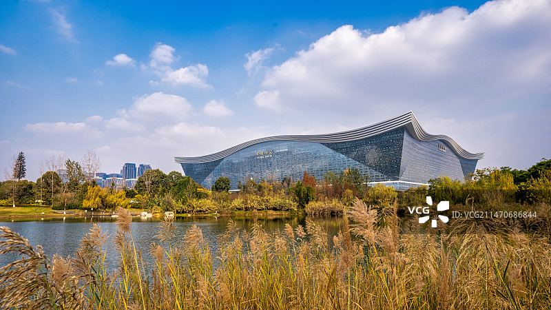 成都环球中心与桂溪生态公园秋色图片素材
