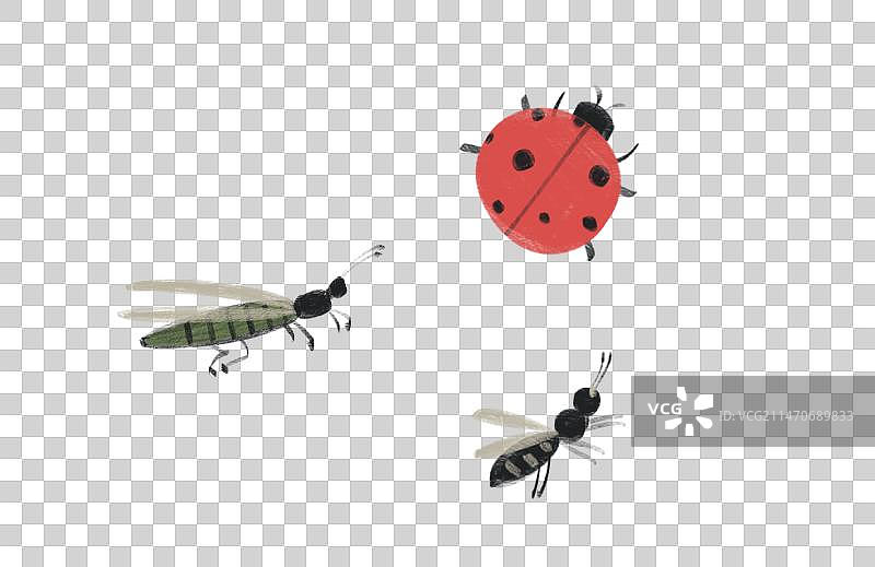 手绘卡通可爱昆虫插画图片素材