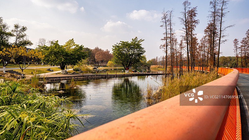 成都高新区桂溪生态公园秋天景色图片素材