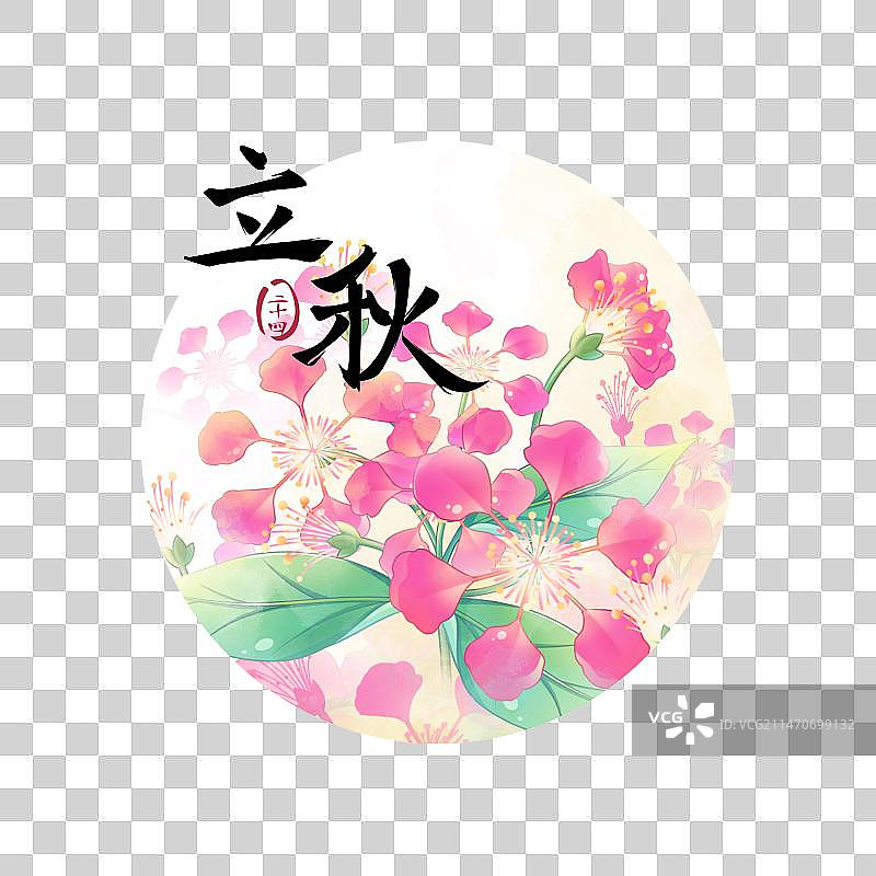 立秋——紫薇花，清新水彩二十四节气花卉圆形免扣元素图片素材