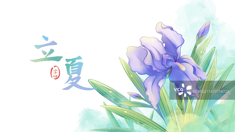 立夏——鸢尾花，清新水彩二十四节气花卉系列海报图片素材