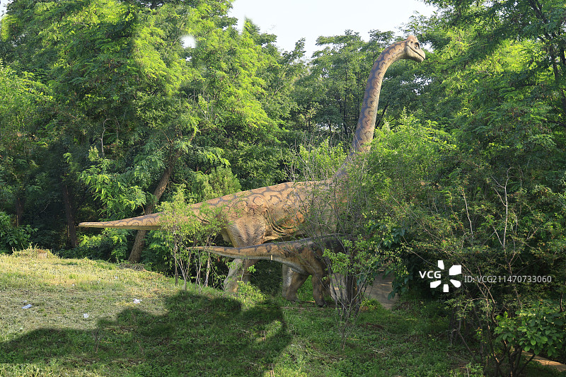恐龙出没图片素材