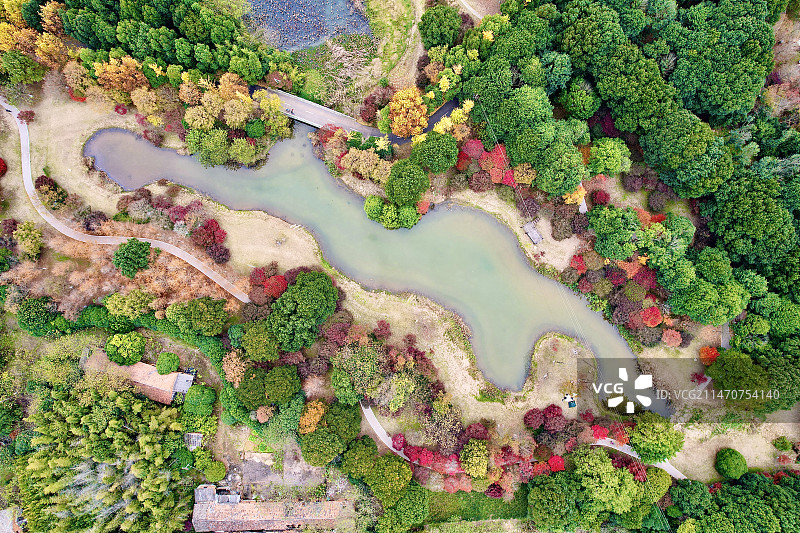 《癸卯年凤凰沟别秋》 沉风抚叶林愈静， 午光氤氲益枫情， 一季一色法天道， 兴衰盛败不由心。图片素材