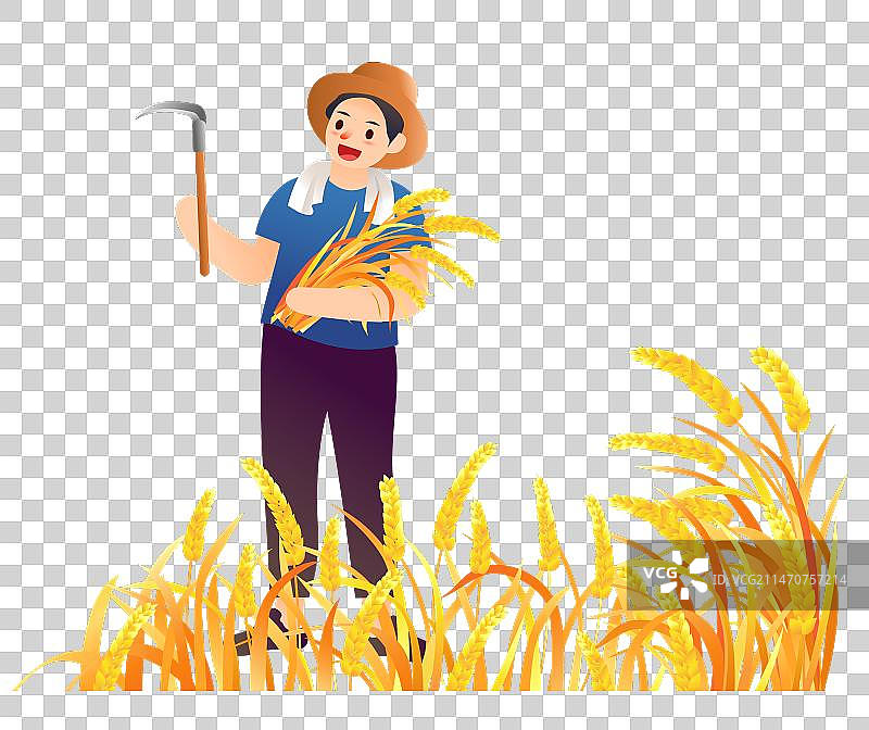 秋分水稻大丰收插画元素图片素材