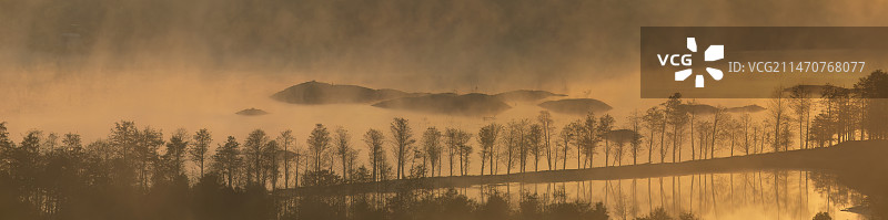 安徽宁国落羽杉日出图片素材