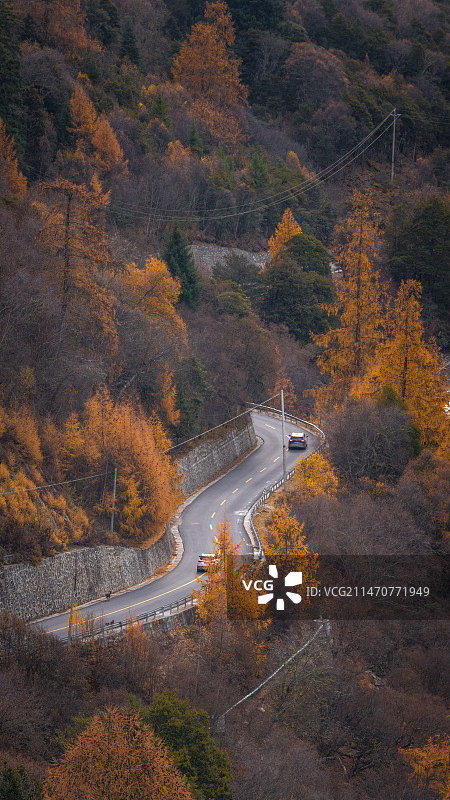 西藏的限定版秋天图片素材