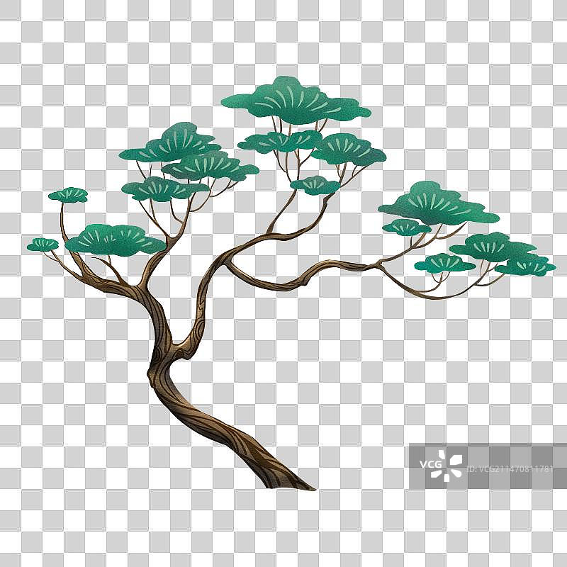 迎客松图片素材