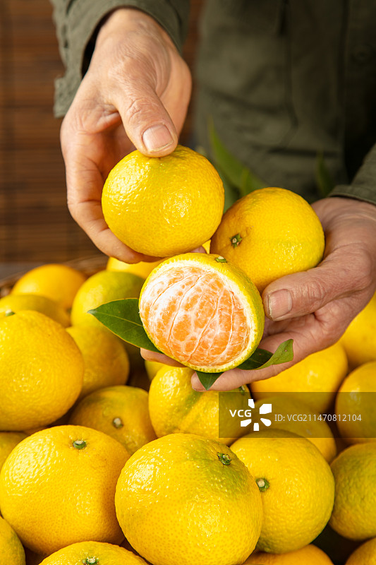 深底上的桔柚图片素材