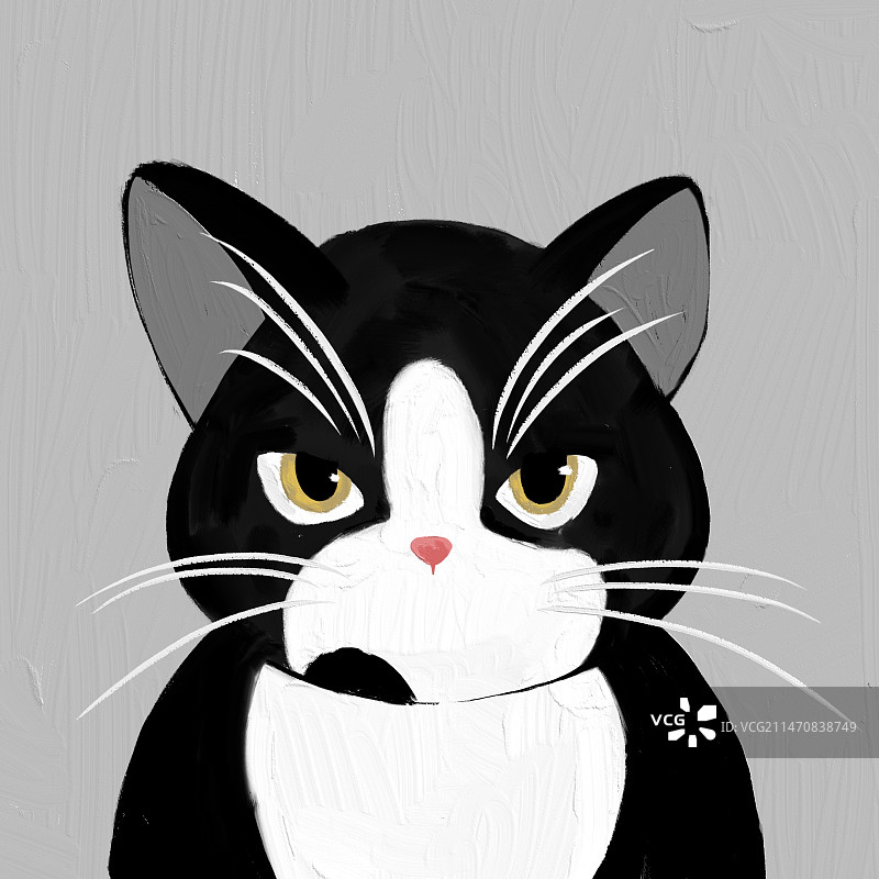 奶牛猫猫图片素材