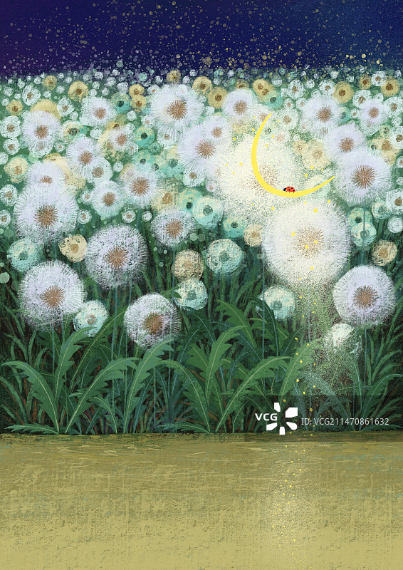唯美背景元素 夜色中的蒲公英花图片素材