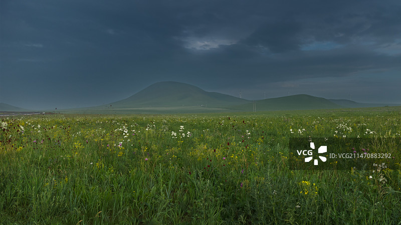 八月草原百花香图片素材