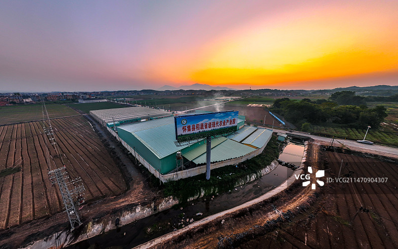 怀集县蔬菜省级现代农业产业园图片素材