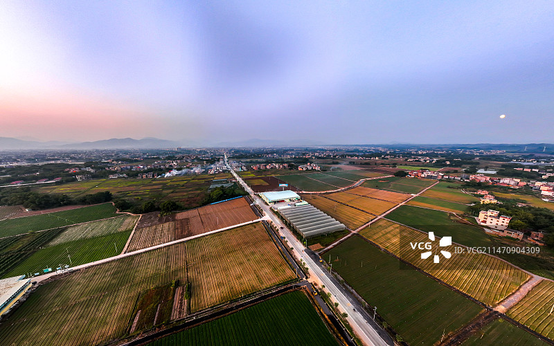 怀集县蔬菜省级现代农业产业园图片素材