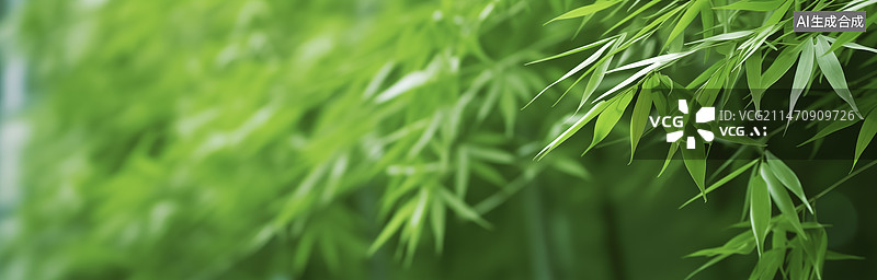 【AI数字艺术】竹林 风景图片素材