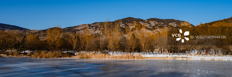 雪后北京-国家植物园13-水墨丹青5图片素材