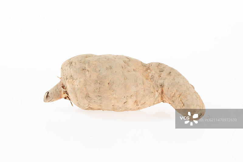 白色背景下的带泥巴天麻图片素材